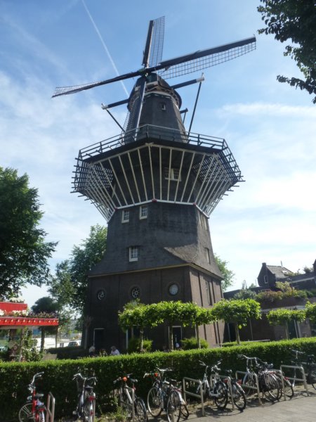 windmill.jpg