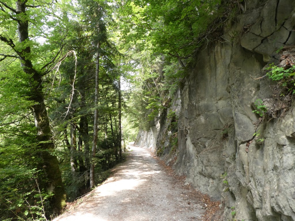 hiketrail2.jpg