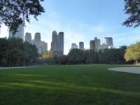 centralpark2_small.jpg